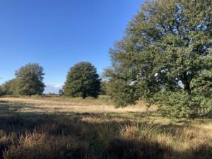 Wandelen en een Pannenkoek!