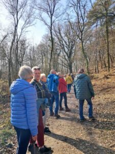 Verslag Wandelen bij de Diepen 26/03