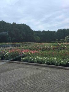 Verslag Wensbus 6 juni