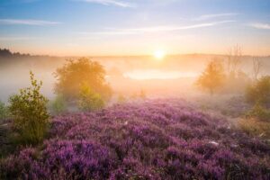 Herfstwandeling 19/11